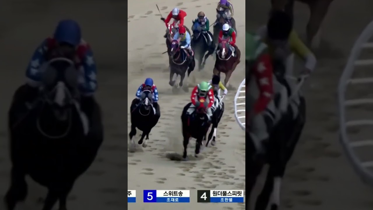 1번어디로간거야 보이지도않네
