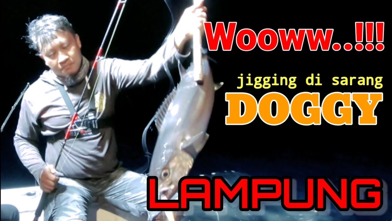 SPOT MANCING DI SARANG IKAN DOGGY ‼️ SMR LAMPUNG 