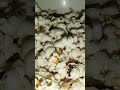 Let S Eat Homemade Popcorn рџЌї Food Popcorm Let S Eat Homemade Popcorn рџЌї Food Popcorm