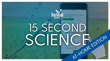 15 Second Science: eBird App