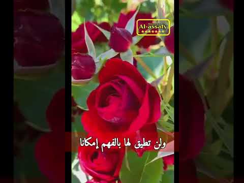 يساء فهمك بين الناس احيانا   القاء خالد دلبح