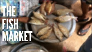 The Morning Fish Market in Kanyakumari | Tamilnadu Fish Market | Indian Fish Market