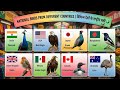 National Birds From Different Countries 🦚🦅🌍   Birds Around The World #worlddata #listdata #gk 