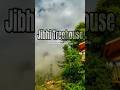 Magical treehouse in the himalayas whispering pines cottages jibhi