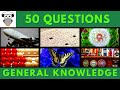 General Knowledge Quiz Trivia #44 | Jumbo Jet, Crossword, Dandelions, Abacus, Butterflies, Pub