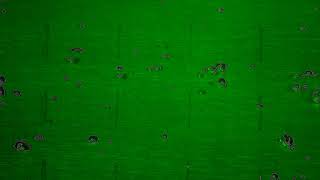 Bubble Detection - Color