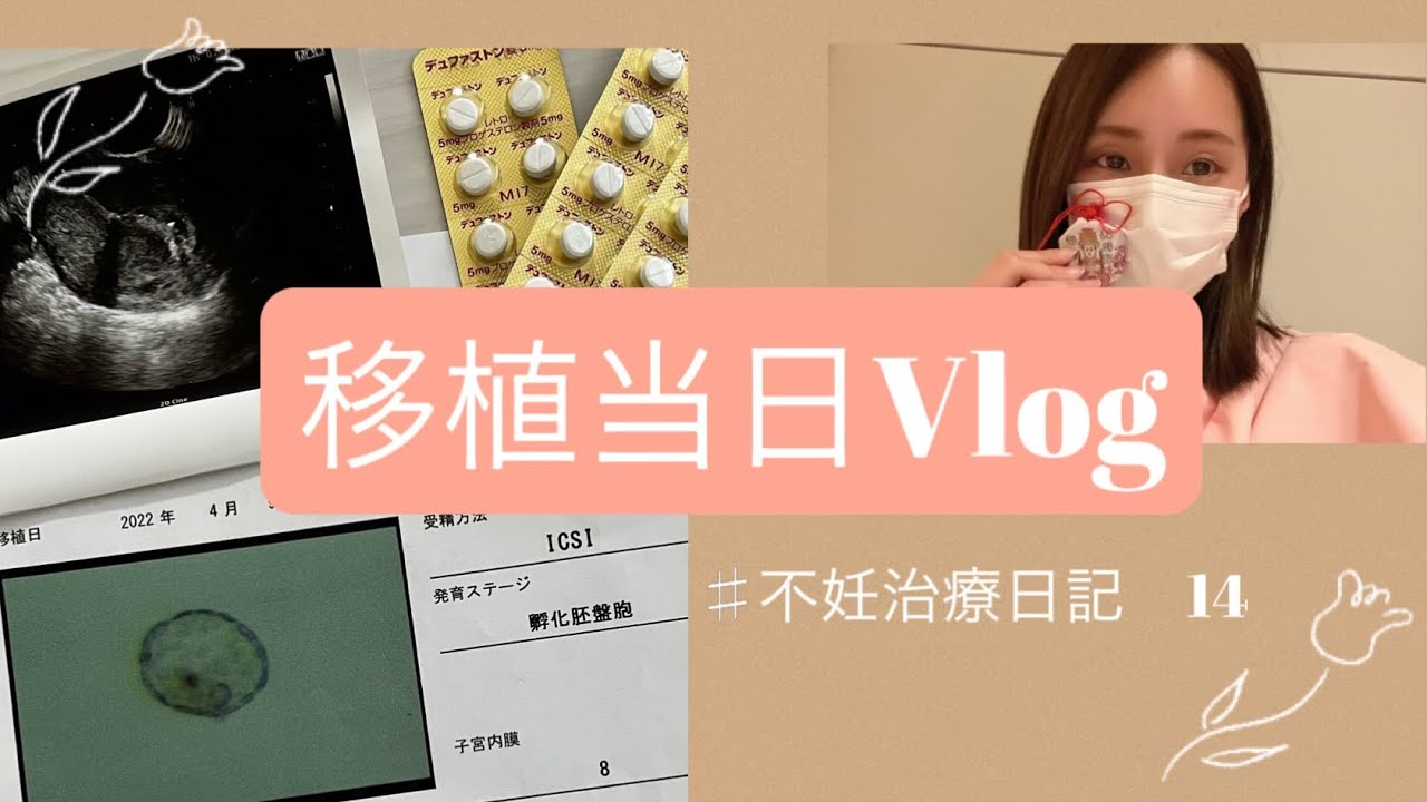 不妊治療日記 #14 初めての移植！！ / 詳しく移植レポ 編
