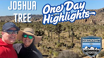 Joshua Tree in One Day
