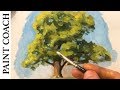 WATCH THIS BEFORE PAINTING A TREE