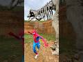 Who was Spider-Man afraid of?😂 #spiderman