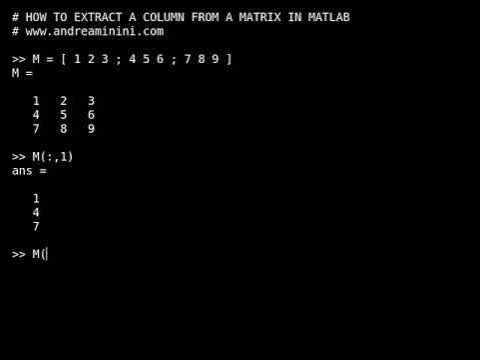 Extract a column from a matrix in Matlab - YouTube