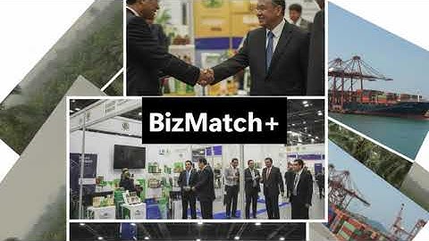 BizMatch+ Demo
