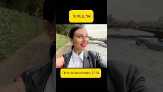 ТЕЛЕЦ 🐂 Гороскоп на октябрь 2024. Солнечное Затмение 2024 #shorts #телец #астрология
