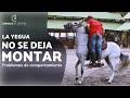 La yegua no se deja montar - Corrección de problemas de comportamiento