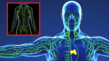 ¿Qué tipo de médico trata el sistema linfático?