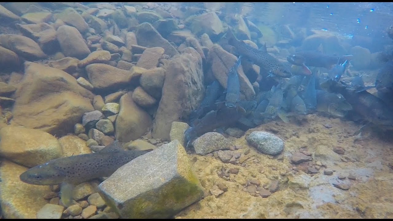 Great Lake Tasmania Todds corner YouTube