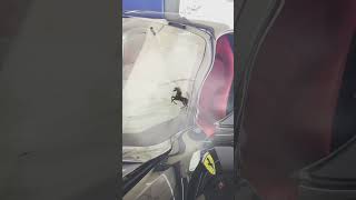 Out with the old, in with the new - a Ferrari’s windshield makeover!  #ferrari #windsheildmakeover