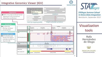 STATegra Summer School 2015: Visualization