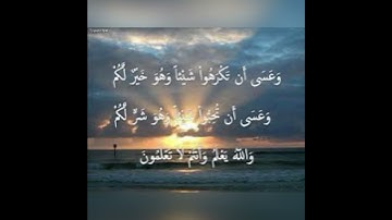 تلاوة رائعة الشيخ ماجد العقل