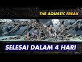 #45- SELESAI !!! HARDSCAPE MEGATANK 100TON Feat @The Aquatic Freak