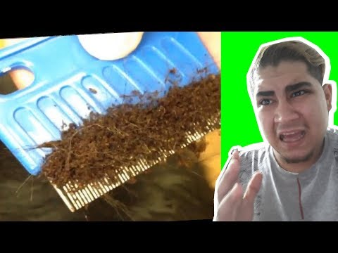 DESAFIO TENTE ASSISTIR ESTE VÍDEO E NÃO FICAR ARREPIADO (NÍVEL HARD)