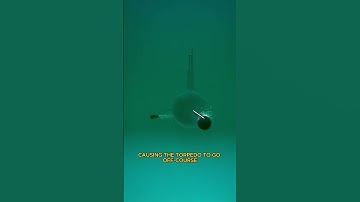 The Glamorous Genius Behind Modern Technology #shorts