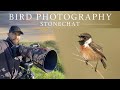 Bird photography stonechat  sigma 150600mm contemporary