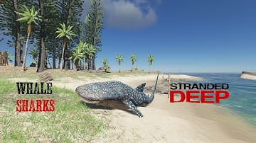 How To Find Kill And Bring Back To Your Island A Whale Shark In Stranded Deep.