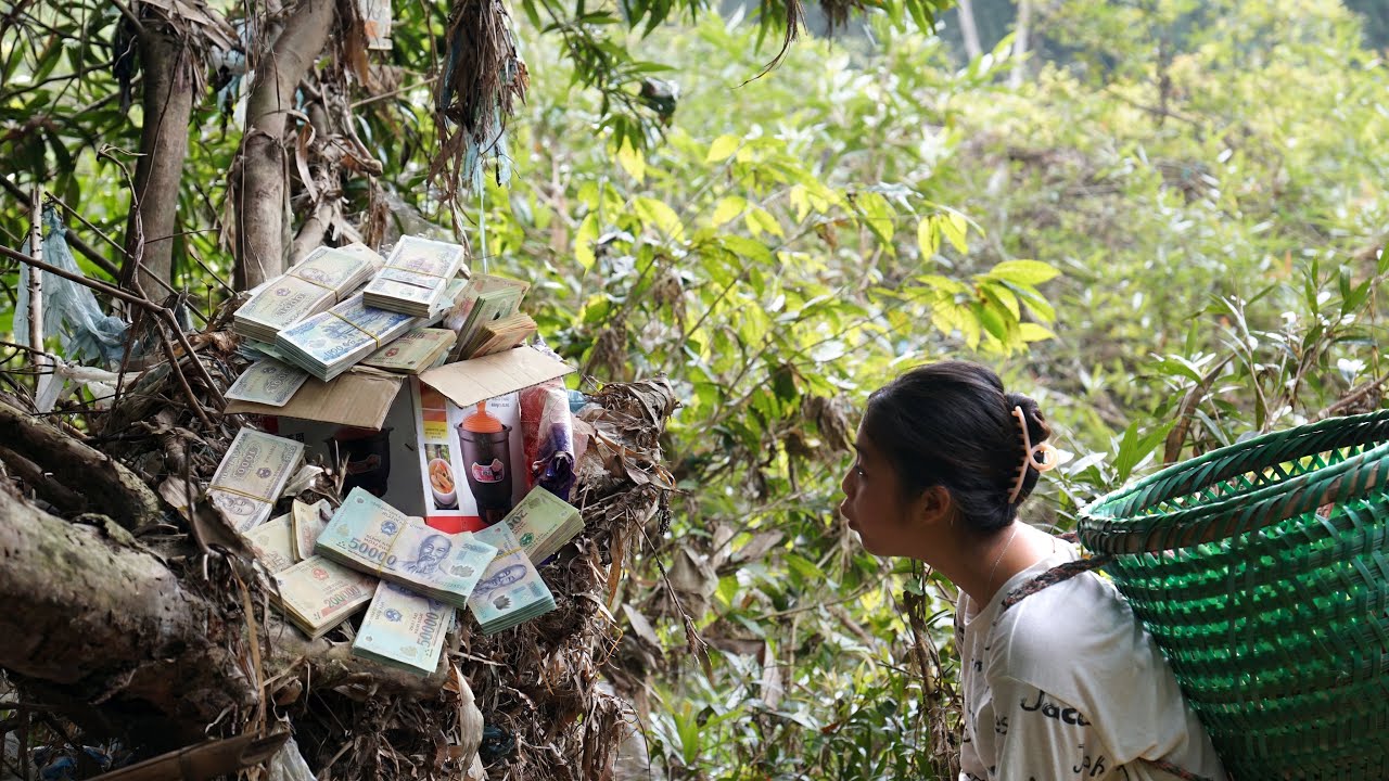 REWIND TIMELAPSE - Single mother unexpectedly discovered many valuable treasures
