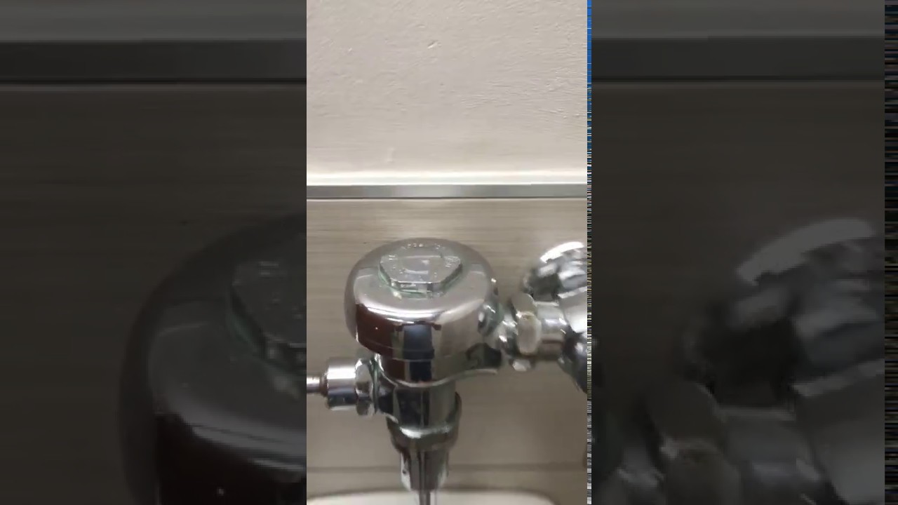 Toilet flush that sounds like a fart YouTube