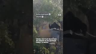 Israeli settler beats dog belonging to Palestinian family to death