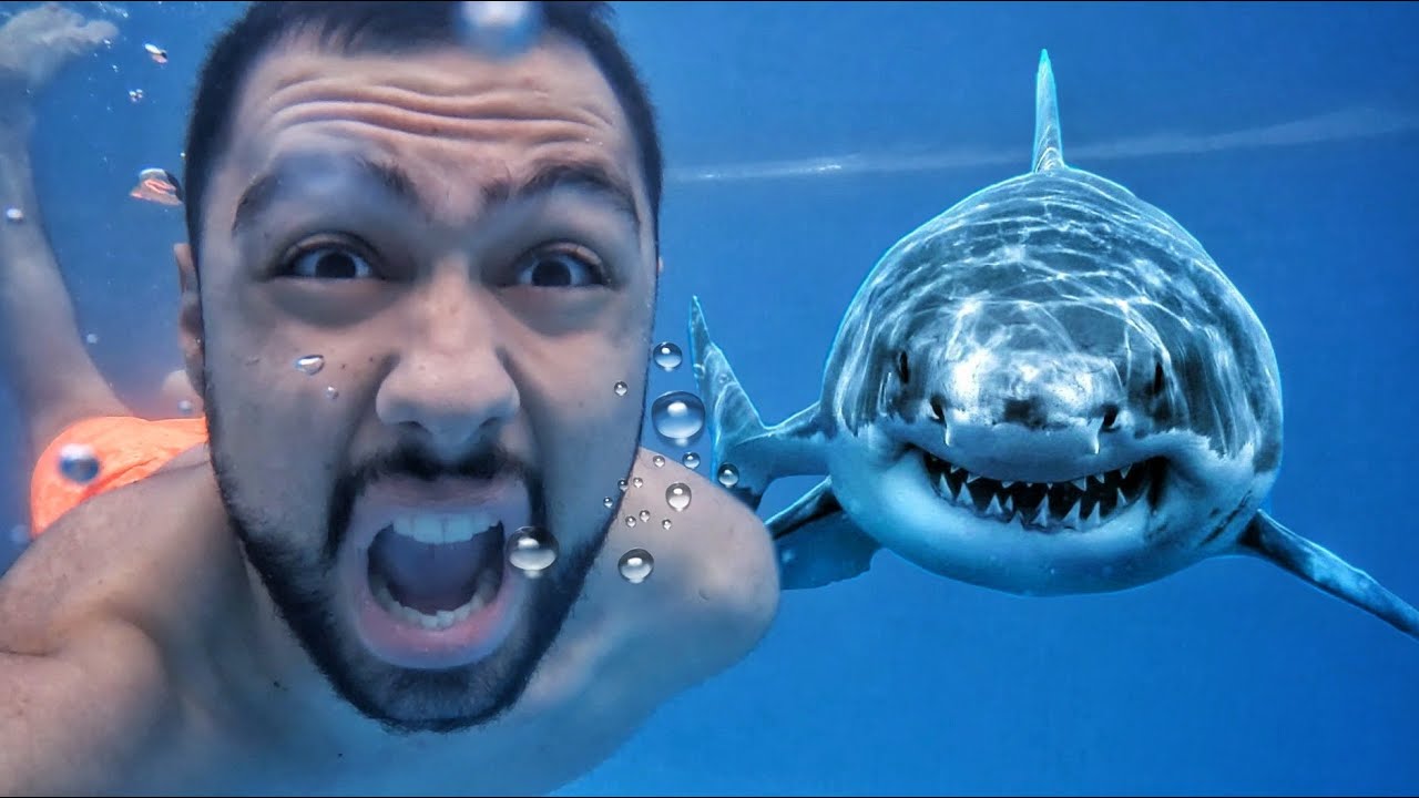 Լողում եմ շնաձկների հետ // Dubai Vlog 1 // KAR comedy