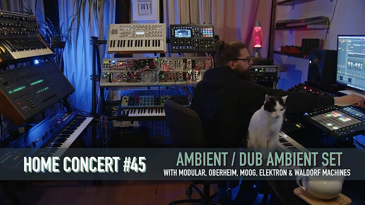 Home Concert #45 (Ambient set with Modular,  Moog,...