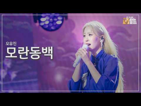 [클린버전] 오유진 - 모란동백 🎖️금타는 금요일 38화🎖️ TV CHOSUN 260911 방송
