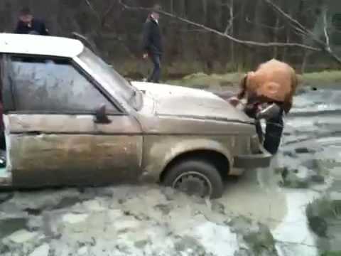 Car in mud hole 2