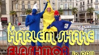 Harlem Shake Pau Flashmob [HTM]