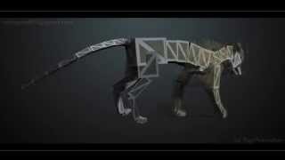 Tiger rig