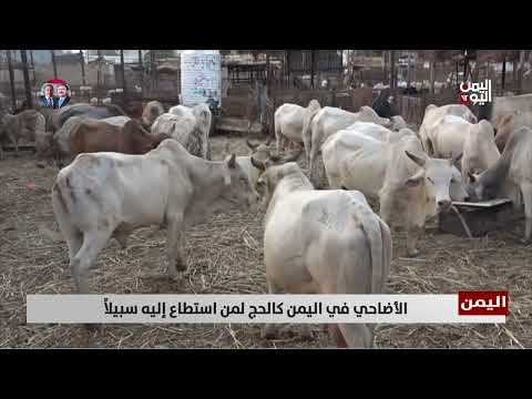 الأضاحي... كالحج لمن استطاع إليه سبيلاً - تقرير: أمين العتيبة
