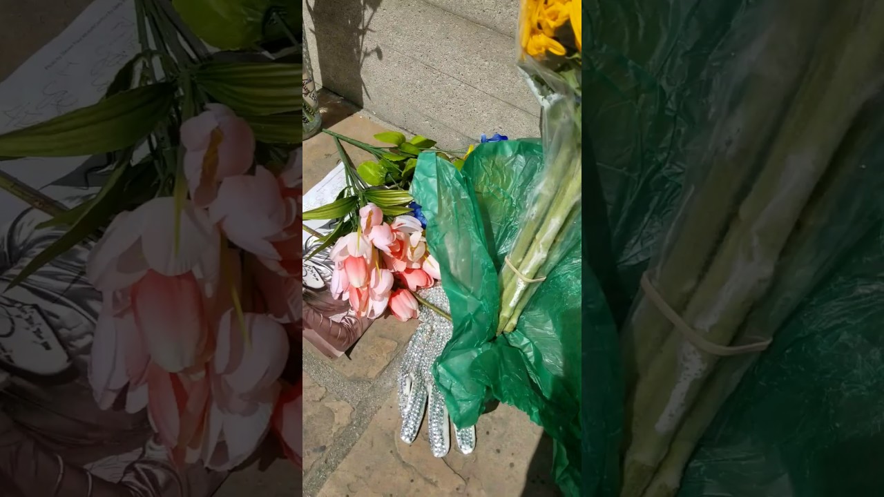 Michael Jackson final resting place...