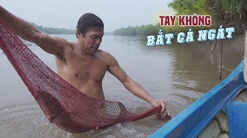 Cao Thủ Miệt Vườn, Tay Không BẮT CÁ NGÁT | Chuyện Phương Kể