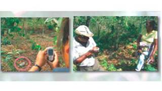 Usher: Enabling Quality Data Collection on Mobile Phones