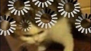 What is my hobby? | Tugas les bahasa inggris menjelaskan hobi