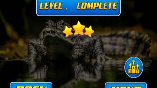 American Alligator Spear-Fishing Hunt Under - Water Crocodile Hunting Simulator Free iOS Gameplay screenshot 4