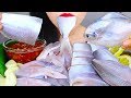 ASMR 병어회 먹방 KOREAN SEAFOOD MUKBANG *RAW BUTTER FISH(Siver Pomfret)* NO TALKING EATING SOUNDS