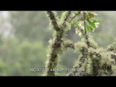 Panasonic HC-X1000 Test Footage