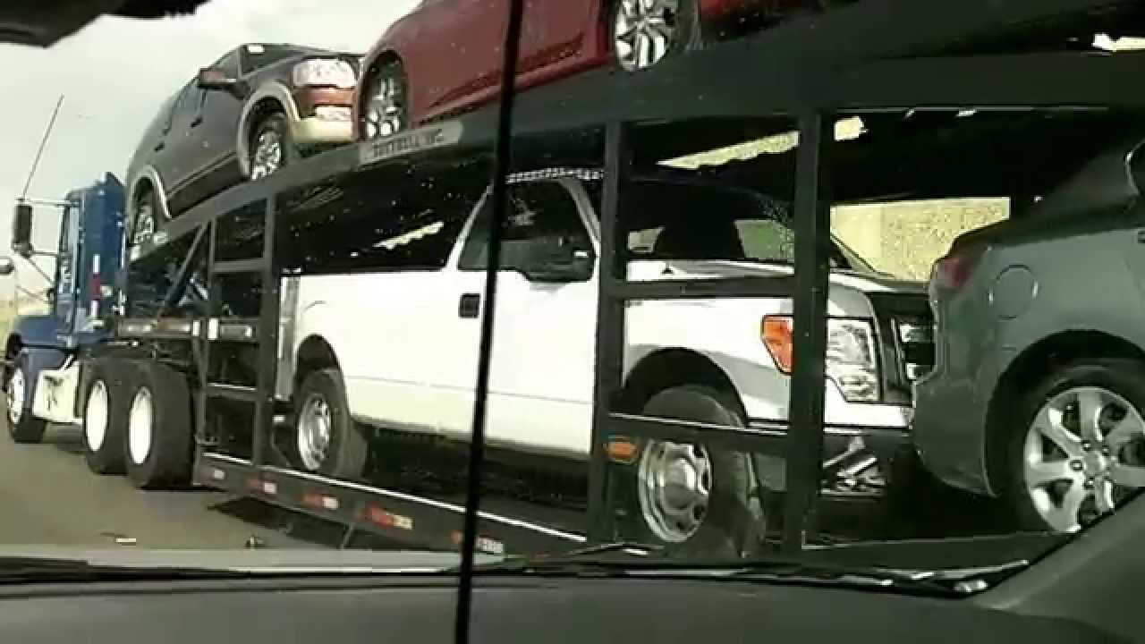 Bogus TDLR License Numbers Displayed On Trucks YouTube
