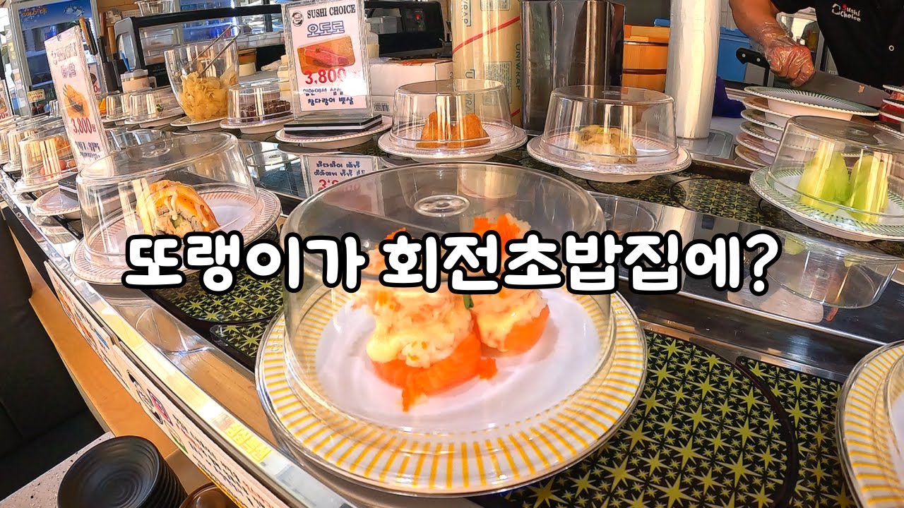 신상 회전초밥가서 가성비 챙겨봤습니다..