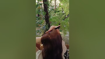 Tóc giả cột đui ngựa xoăn lọn dài tới lưng quần #toccot