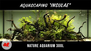 Aquascaping aquarium 300l
