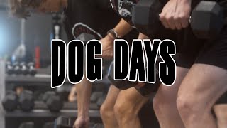 Dog Days | Chapter 2 | The Pitt